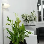 Gardenia Róma